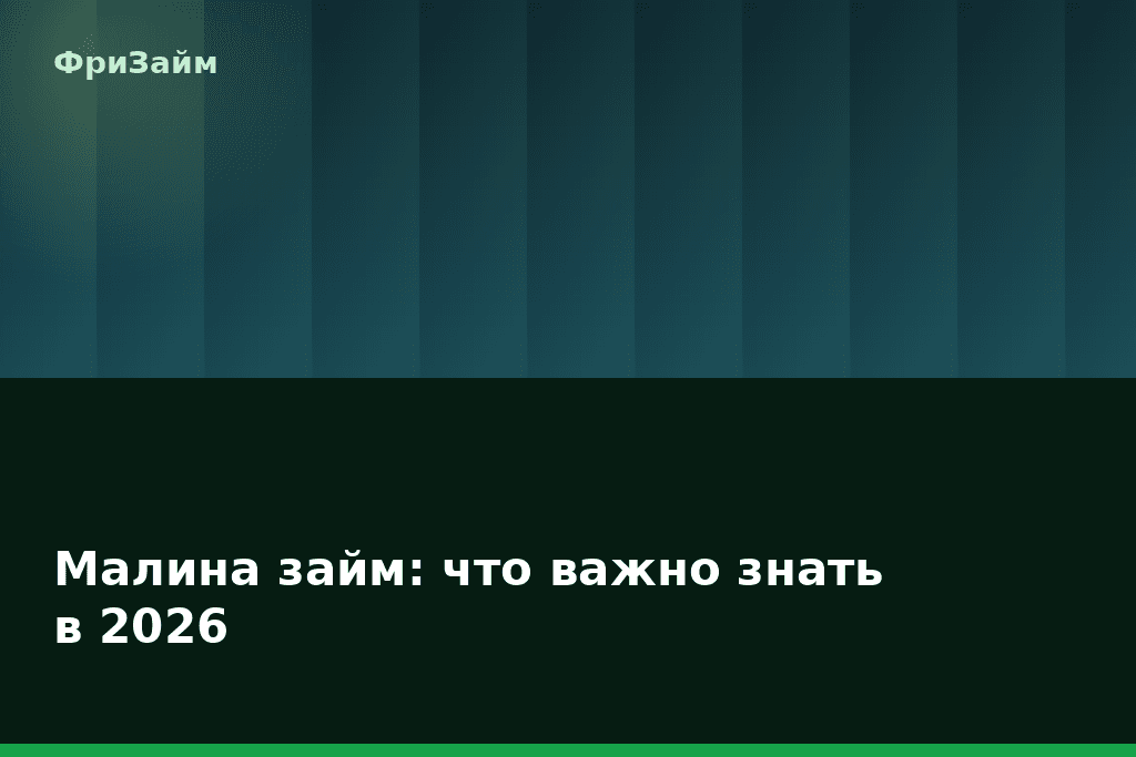 Малина займ: что важно знать в 2026 — блог ФриЗайм