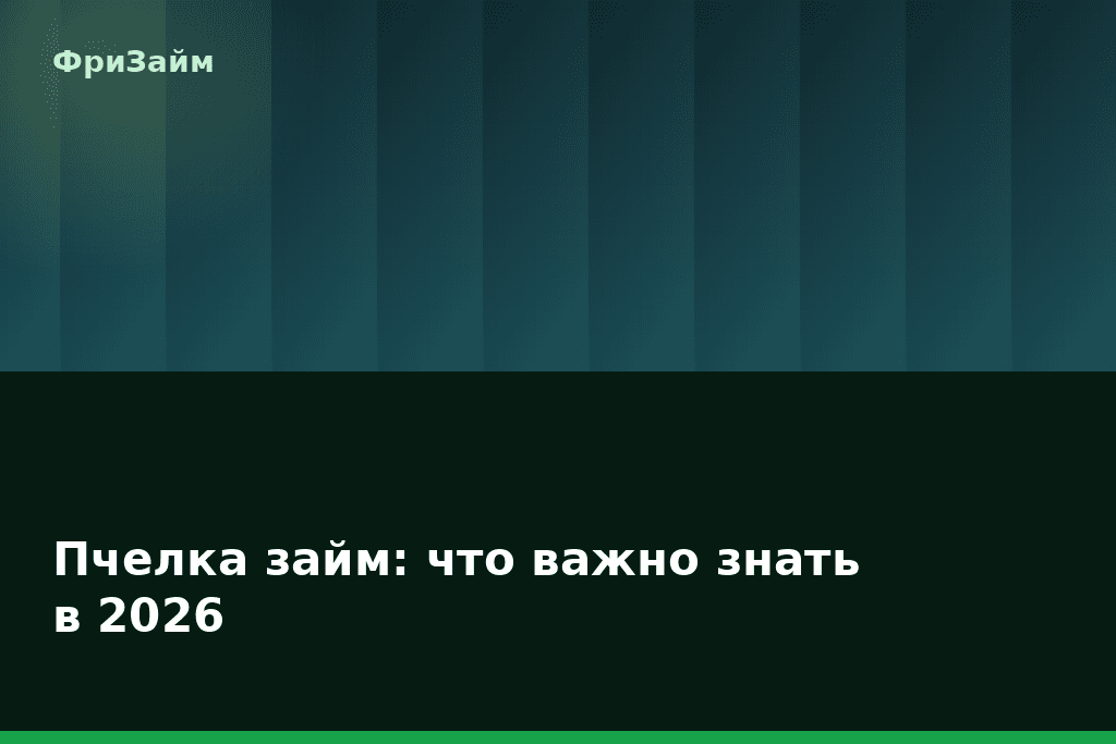 Пчелка займ: что важно знать в 2026 — блог ФриЗайм