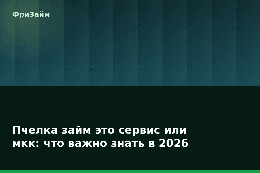 Пчелка займ это сервис или мкк: что важно знать в 2026 — блог ФриЗайм
