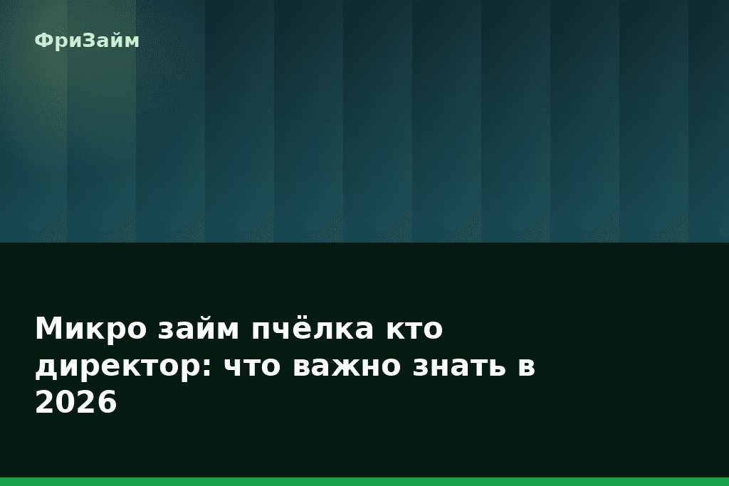 Микро займ пчёлка кто директор: что важно знать в 2026 — блог ФриЗайм